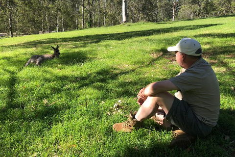 Blue Mountains Number 1 Day Tour Includes Popular Breakfast In The Aussie Bush - Darwin Holiday 23