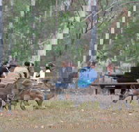 Blue Mountains number 1 Day Tour includes popular breakfast in the Aussie bush - Darwin Holiday