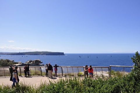 Sydney Sightseeing Bus Tour With Bondi Beach - Darwin Holiday 4