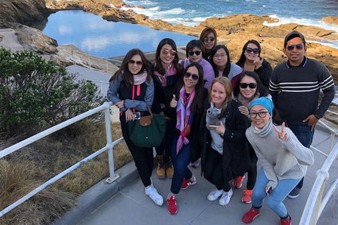 Sapphire Coast Highlights Tour (private Tour From Port Of Eden) - Darwin Holiday 5