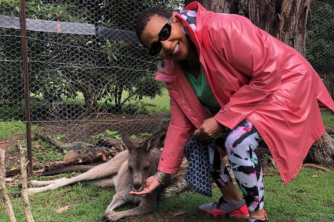 Sapphire Coast Highlights Tour (private Tour From Port Of Eden) - Darwin Holiday 11