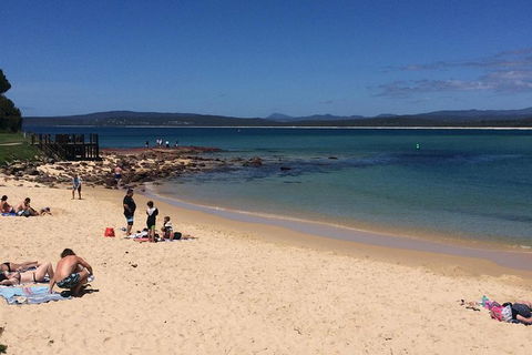 Sapphire Coast Highlights Tour (private Tour From Port Of Eden) - Darwin Holiday 1