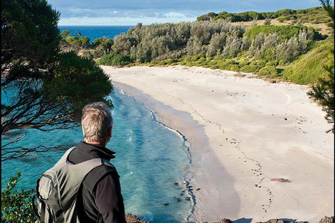 Sapphire Coast Highlights Tour (private Tour From Port Of Eden) - Darwin Holiday 14