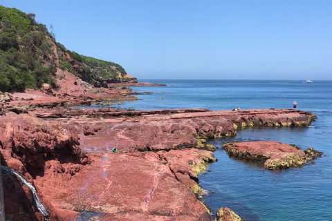 Sapphire Coast Highlights Tour (private Tour From Port Of Eden) - Darwin Holiday 7