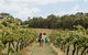 Hunter Valley Premium Food & Drink Pairing Tour - thumb 5