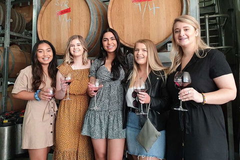 Hunter Valley Wine Tour From The Hunter With Wine Craft Beer Cheese Chocolate - Darwin Holiday 1