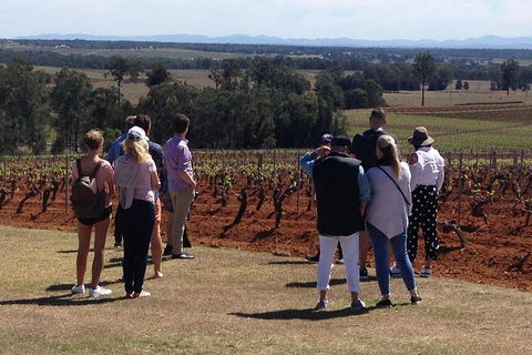 Hunter Valley Wine Tours | Wine Tasting Tours From Sydney OR Hunter Valley - Darwin Holiday 14
