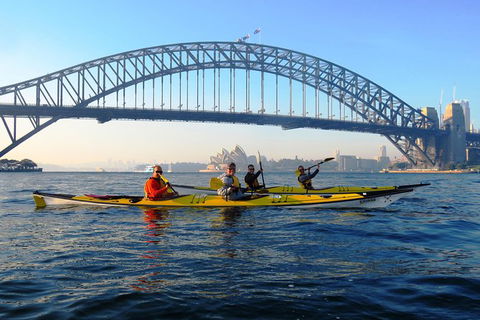 Beautiful Sydney Sunriser Kayaking Tour - Darwin Holiday 5