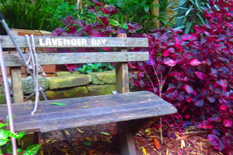 Beautiful Sydney Sunriser Kayaking Tour - Darwin Holiday 7