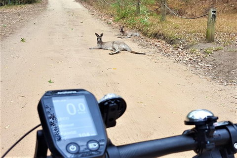 Blue Labyrinth Tour: Sydney Blue Mountains By E-Bike - Darwin Holiday 4