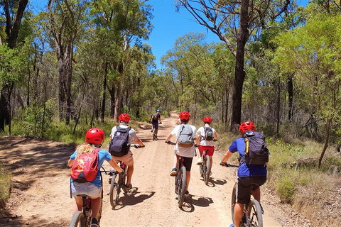Blue Labyrinth Tour: Sydney Blue Mountains By E-Bike - Darwin Holiday 1
