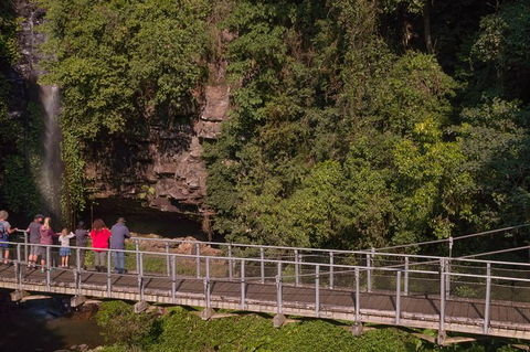 Rainforest & Waterfall Experience - Darwin Holiday 4