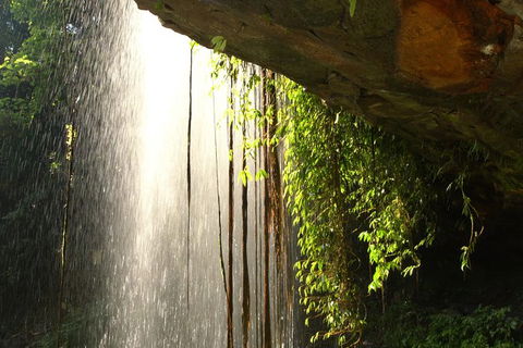 Rainforest & Waterfall Experience - Darwin Holiday 9