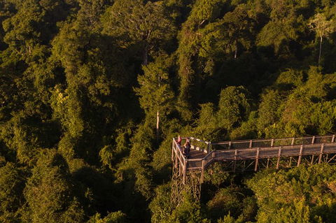 Rainforest & Waterfall Experience - Darwin Holiday 5