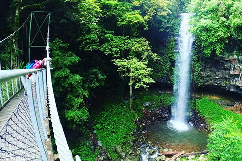 Rainforest & Waterfall Experience - Darwin Holiday 0