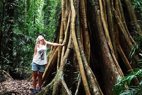 Rainforest & Waterfall Experience - Darwin Holiday 3
