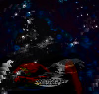 Blue Mountains Hiking Glow worms Cave Wildlife Spotlighting Night Adventure - Darwin Holiday