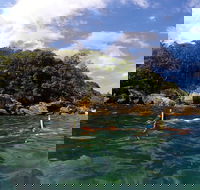 Manly Snorkel Tour  Beyond Manly Half Day Adventure with City pick up - Darwin Holiday