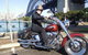 The 3 Bridges Harley Tour - See The Main Iconic Bridges Of Sydney On A Harley - thumb 5