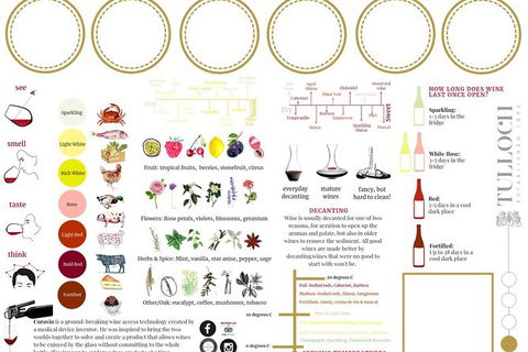 Tulloch Wines- Premium Museum Aged Wine Tasting With Cheese And Charcuterie - Darwin Holiday 10