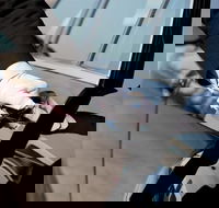 Transfer from Sydney SYD airport to Sydney - Darwin Holiday