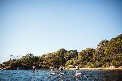 Stand Up Paddle Board Hire - 2 Hours - Darwin Holiday 2