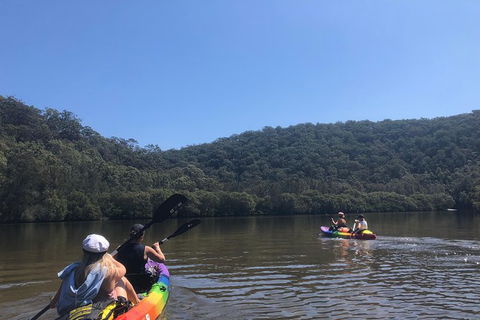Kayak Berowra Valley - Darwin Holiday 7