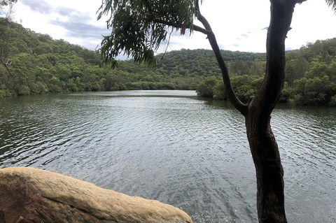 Kayak Berowra Valley - Darwin Holiday 10