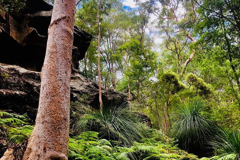 Kayak Berowra Valley - Darwin Holiday 19