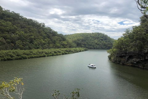 Kayak Berowra Valley - Darwin Holiday 12