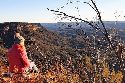 Ultimate Blue Mountains Waterfalls, Walks & Sunset PRIVATE Tour - Darwin Holiday 5