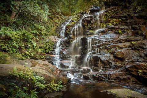Ultimate Blue Mountains Waterfalls, Walks & Sunset PRIVATE Tour - Darwin Holiday 10