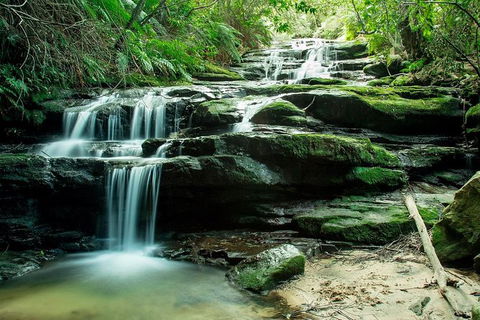 Ultimate Blue Mountains Waterfalls, Walks & Sunset PRIVATE Tour - Darwin Holiday 2
