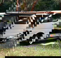 Shark Bait - Darwin Holiday