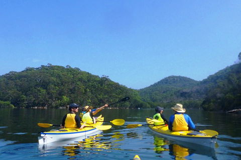 1 Hour Rental Deluxe Double Sea Kayak - Darwin Holiday 3
