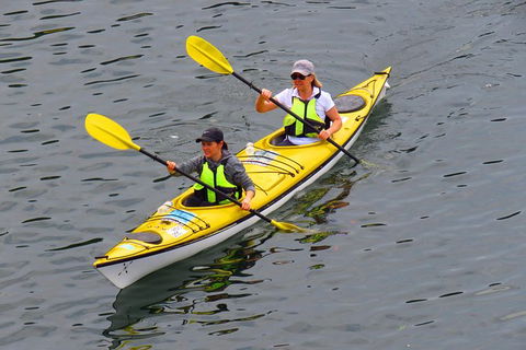 1 Hour Rental Deluxe Double Sea Kayak - Darwin Holiday 4