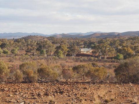 Blinman Belt And Buckle Maker Outback Studio/gallery - Darwin Holiday 1