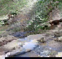 Bomaderry Creek Regional Park - Darwin Holiday