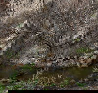 Brisbane Ranges National Park - Darwin Holiday