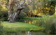 Gateway Island Parklands - thumb 0