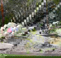Maroochy Regional Bushland Botanic Garden - Darwin Holiday