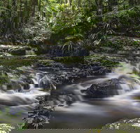 Protesters Falls Walking Track - Darwin Holiday
