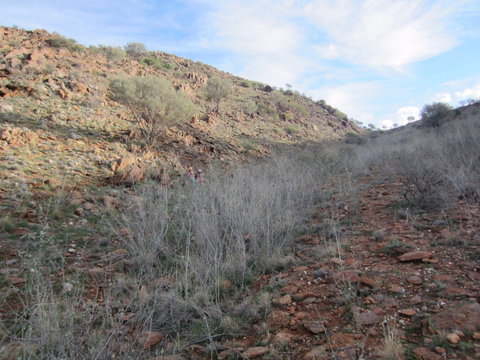 Sundown Nature Trail - Darwin Holiday 2