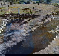 Wangaraleednie Monument  Ruins - Darwin Holiday
