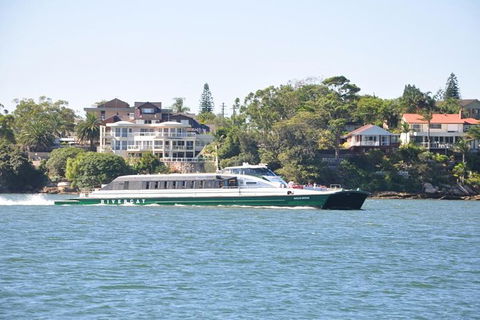 Blue Mountains Private Tours (Luxury VW Or Mercedes Sprinter) - Darwin Holiday 20