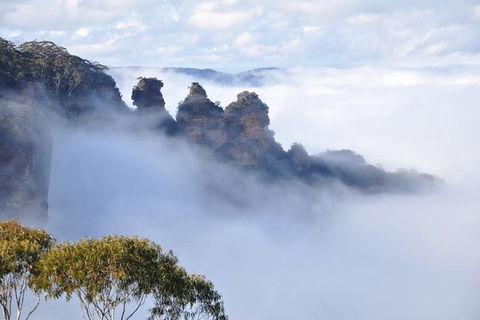 Blue Mountains Private Tours (Luxury VW Or Mercedes Sprinter) - Darwin Holiday 3