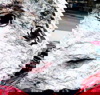 Discover Sydney - The Rocks - Darwin Holiday