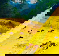 Blue Mountains Into The Wild Overnight Camping 4WD Off Road Wilderness Adventure - Darwin Holiday