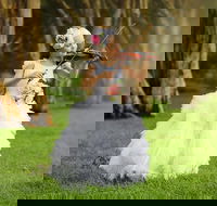 Family Photography - Darwin Holiday