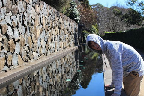 The Other Side Of The Blue Mountains - Darwin Holiday 8